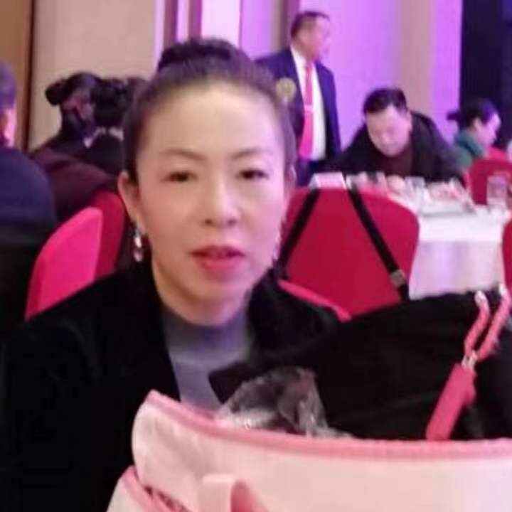 中秋桂花玉兔的第四张照片--成都中老年相亲网