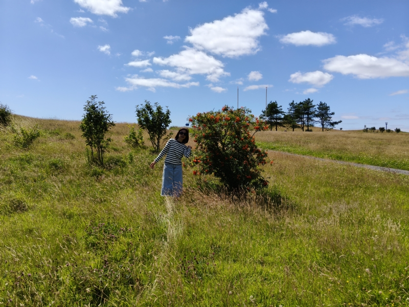 秋蝉的第一张照片--成都中老年相亲网